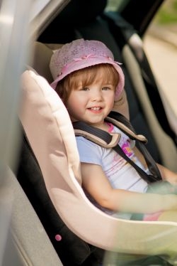 shutterstock_84.6953f140842.w250