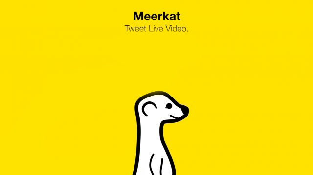meerkat.569f6134358.w640