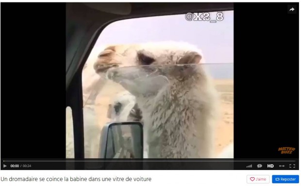 ® Dailymotion