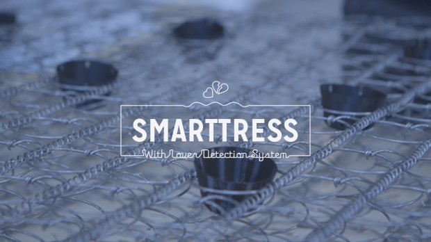 smarttress