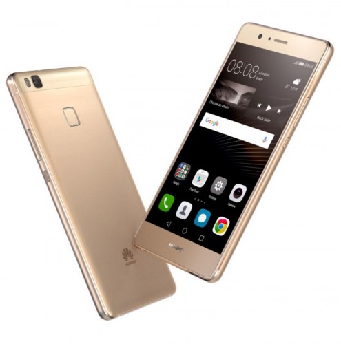 P9litea