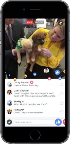 fb live