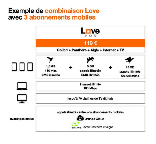 Combinaison_LOVE_FR6-_3-Mob---Colibri-_-Panther-_-Aigle_