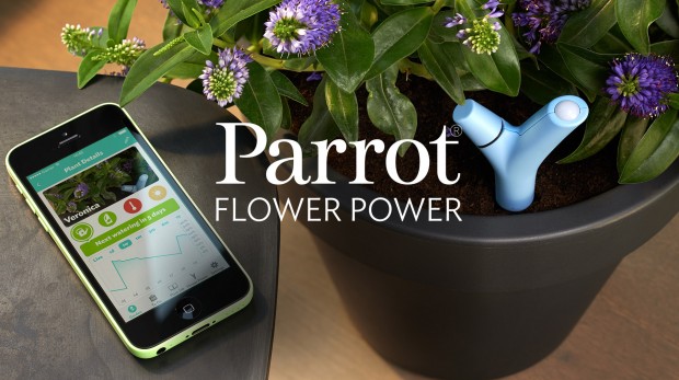 flower power