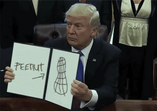 trump draws