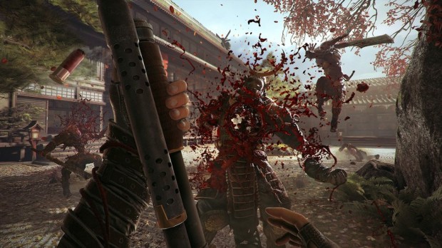 SHADOW warrior 2 b