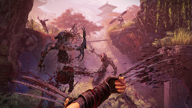 shadow warrior 2c