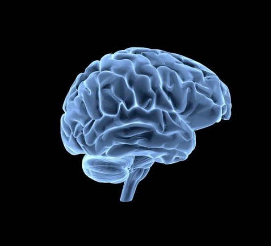 brain ia