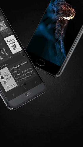 yotaphone 3b
