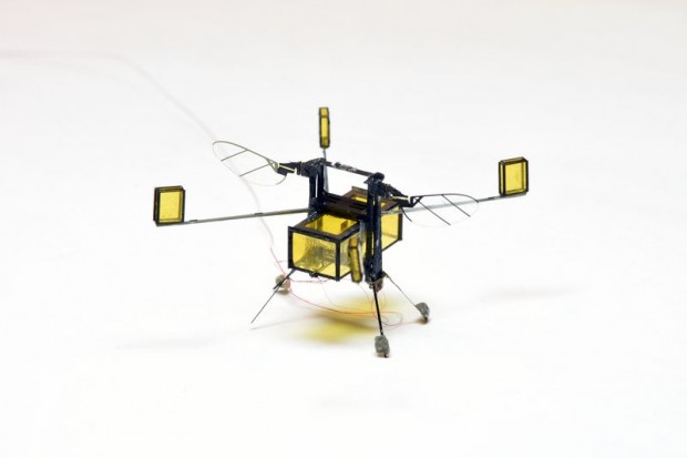 RoboBee