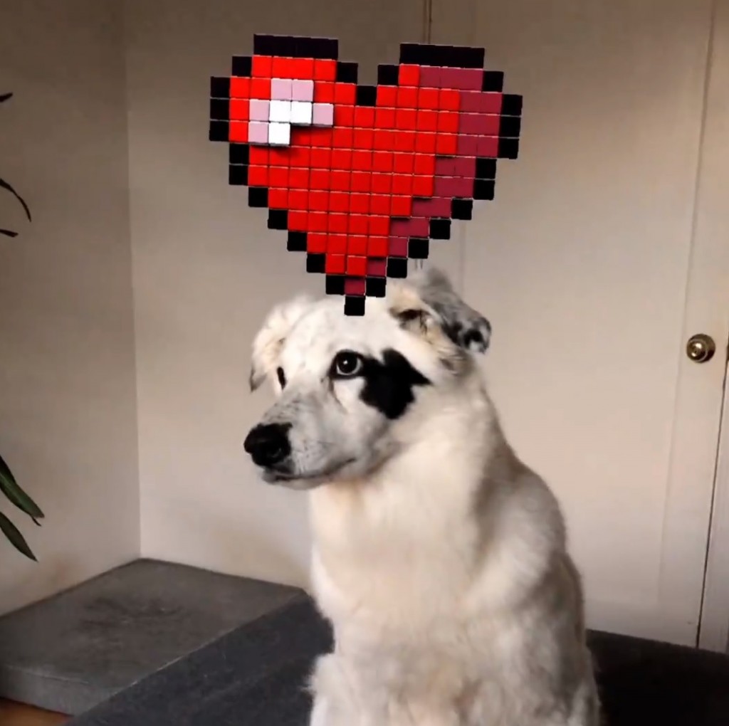 Facebook World Effects