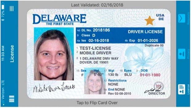 Delaware car licence