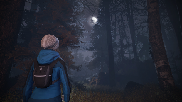 Through the Woods