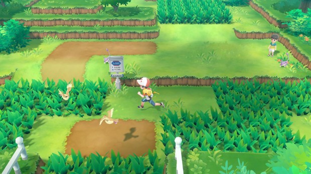 pokemon