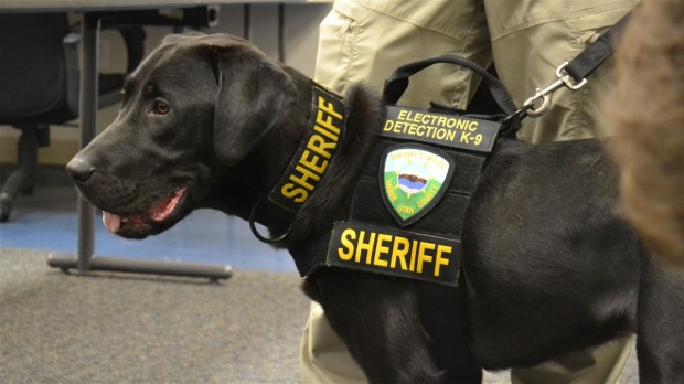 Droits Photo : Connecticut State Police