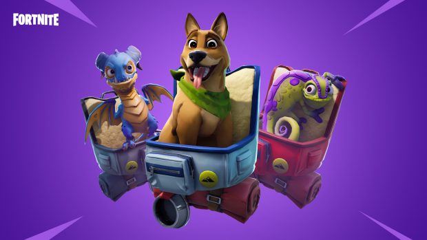 Compagnons Fortnite battle Royale