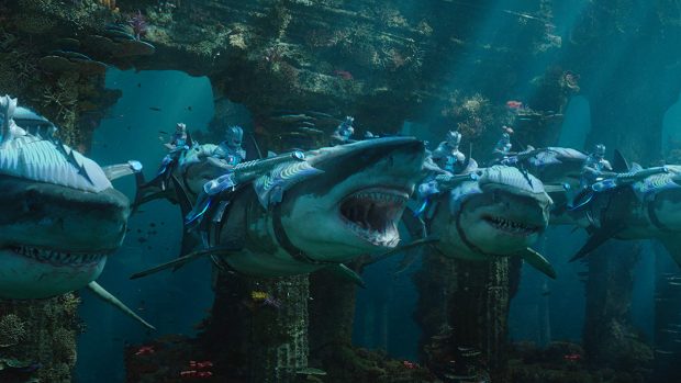 Aquaman requins